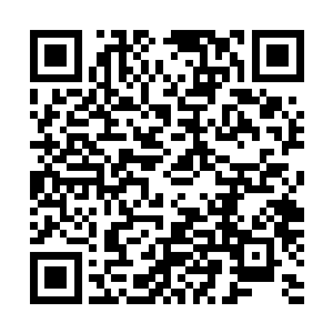 王枫用大量的篇幅详细介绍了政务公开制度与财务审计制度二维码生成
