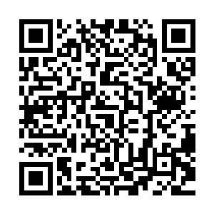王枫的一本正经模样显示出他确实与这些美人儿没有男女私情二维码生成
