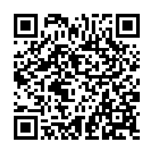 王歆瑶对这个突然冒出的爷爷表现出的超人预料的亲昵二维码生成