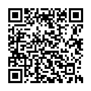 王泽生也觉得这件事再让妻子出马实在说不过去二维码生成