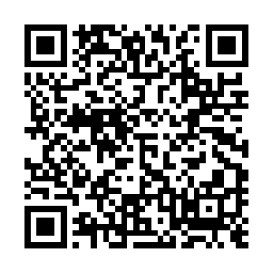 王禀亲自伸手将几乎快冻成了一个冰坨子的赵良嗣扯上船来二维码生成