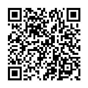 王管事用戴着白色手套的右手抓起了一把枸杞子二维码生成