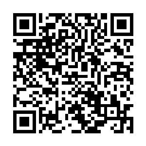 王耀祖就做出了一副你口太好了我说不过你的模样二维码生成