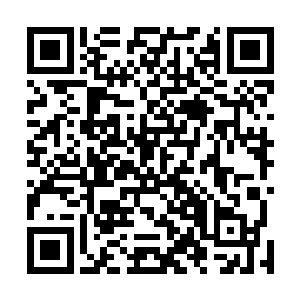 王者在普通族人心目中的地位已经远远的超过了我们两人二维码生成