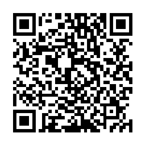 王莽很谨慎保持高度警惕才一会儿功夫就在地上画好了符圈二维码生成