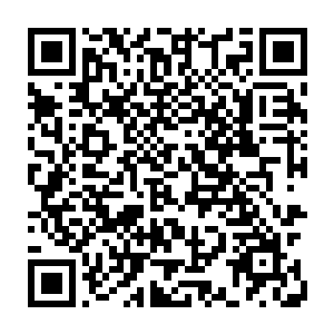 王金旺那边没必要再去找他谈了这件事情是王金旺在台前幕后一力推动的吧二维码生成