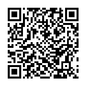 王铮所描述的十三维度跟现在流行的十三维度理并不一样二维码生成