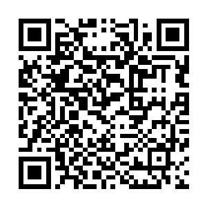 王铮用风神以一敌百的一幕幕在她脑海中不断滑过・有一天二维码生成