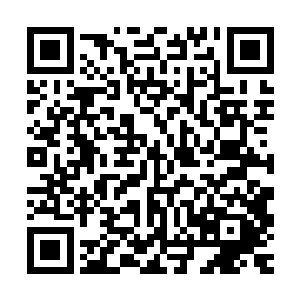 环江区民工子弟学校的薛校长也带着今天参加表演的孩子们来了二维码生成