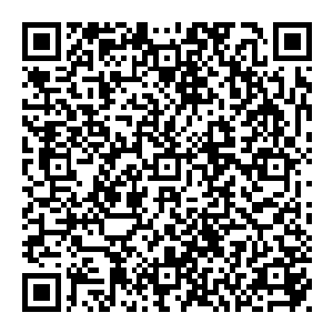现下只是一声不吭的在完颜马哥与数十亲卫的簇拥下只是朝着五百步外宗辅摆出的阵列方向以尽可能高的速度疾奔而去二维码生成