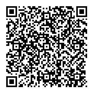 现代社会已经不是以前　一个人的强大并不能代表什么　叶家要想真的变强　就需要涌现出一大批的中坚学员　这才是上策二维码生成
