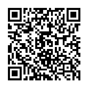 现在三宝的命在我手里捏着……你赶紧给我把枪放下二维码生成