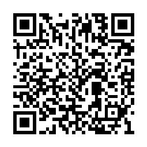 现在不用在北狐皇和即墨姑娘她们身上也是对的二维码生成