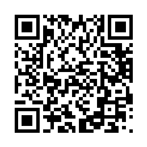 现在不过是别人养着的一条狗而已……二维码生成