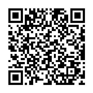 现在也只能看看我晚上投的那块暗标的料子怎么样了……对了二维码生成