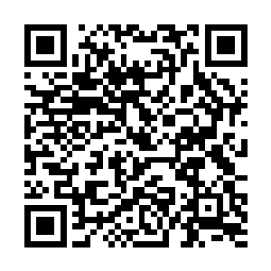 现在他们已把这位年纪轻轻的锦衣卫士当成了主心骨二维码生成
