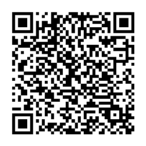 现在他们都恨不得将我生吞活剥了……你觉得他们真的会投票给我么二维码生成