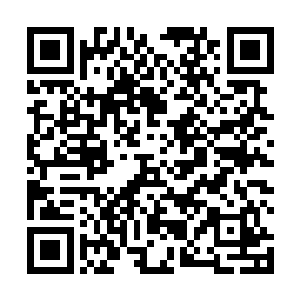 现在他和张潇晗客客气气的可她竟然还对他们如此不敬二维码生成