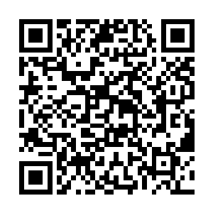现在他想要知道的不是到底安安是不是他的亲生儿子二维码生成
