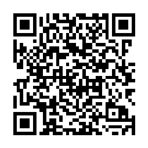 现在伤卒都是舒舒服服的躺在两马之间拉起的绳网上头二维码生成