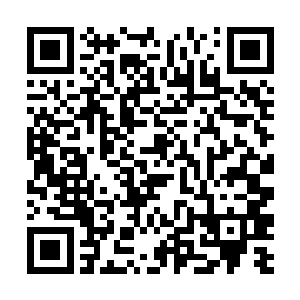 现在全仙界的人都知道了太极通天神殿里面藏着神器二维码生成