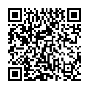 现在全被这群见鬼的侯爵郡主贵妃大将军神经病给特么的糟蹋了二维码生成