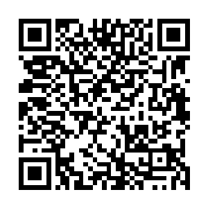 现在公安机关正在查处道良地产集团偷税漏税和涉黑案件二维码生成