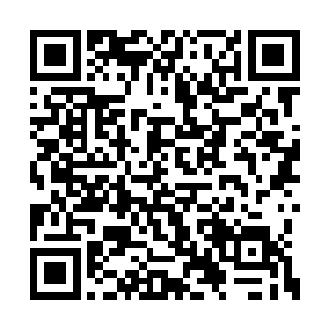 现在几乎所有人类单独出镜的戏码都快拍摄完了二维码生成