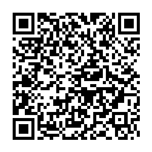 现在十几名精干的突击队员应该已经在暗中控制了总统套所在的楼层二维码生成