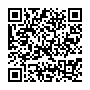 现在却是觉得你留在这个小队才能为我做更多的事情啊……二维码生成