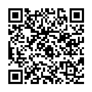 现在却看到自己父亲终于承认这世上的事情不是他全然能够掌握二维码生成