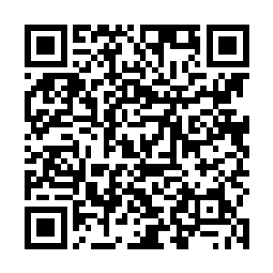 现在又威胁沈某要什么的功法……当真是无耻之尤……二维码生成