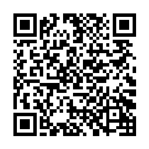 现在又被笼罩在林铭的鸿蒙空间和精神世界投影之中二维码生成