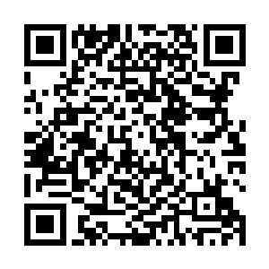 现在反倒说我们的不是…真是狗咬吕洞宾不识好人心…二维码生成