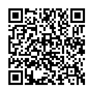 现在可以肯定的就是他们捕捉各界的生物是事实二维码生成