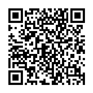 现在听说那群人在遭受了惨重的损失之后依旧没有离开二维码生成