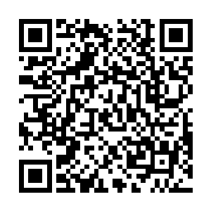 现在唯一阻止两个人的办法就是将他们的丹田破坏掉了二维码生成