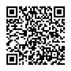 现在在他们眼中的后生晚辈竟然说自己是长阳府的开山老祖宗二维码生成