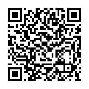 现在在整个修真界老大说第二就没有人敢说第一二维码生成