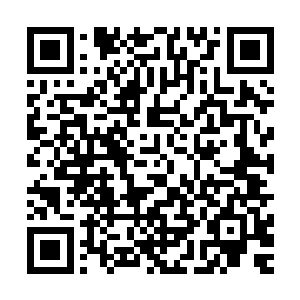现在在颁奖季到底占据了多少领跑的优势――甚至可以这么说二维码生成