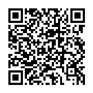现在基本上数得上名字的文武大臣家族族长们都在二维码生成