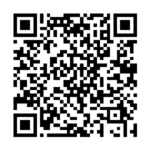 现在夏家城的灵气已经是刚开始灵界的三千多倍了啊二维码生成