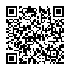 现在大大小小的五条鱼在下面可不是真的要满了么二维码生成