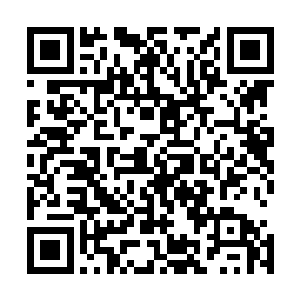现在天剑宗的弟子速度普遍要比其他门派的弟子高出很多倍二维码生成