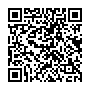 现在她倒懂了史上有名的独孤皇后为什么不喜纳妾的人二维码生成