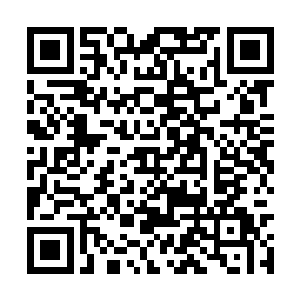 现在宗门里很多弟子都对这次搜捕行动有所怨言了二维码生成