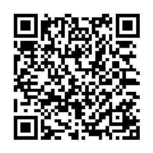 现在就成了秦方的魂奴了……尽管它现在生命垂危二维码生成
