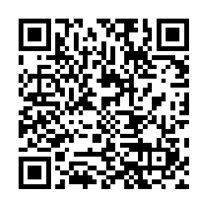 现在就连东方公公都打不过苏华衍……哪里还有什么底气二维码生成