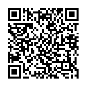 现在已经不需要非常认真去感受才能感觉得到脉动的存在二维码生成