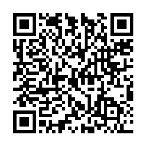 现在当真是已经没有了多少的体力再去奔波和厮杀二维码生成